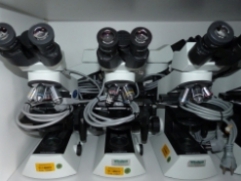 3_Mikroskope
